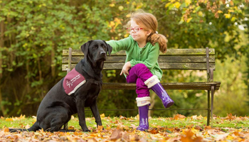Hearing dogs