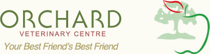 Orchard Veterinary Centre - Your best friend's best friend